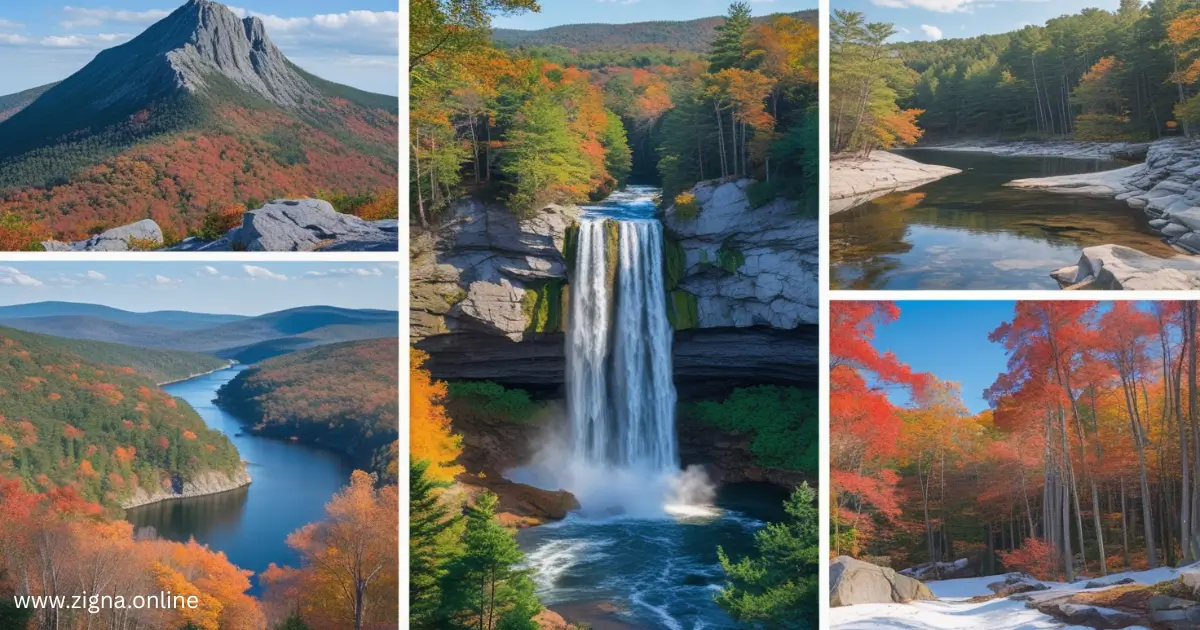Top 5 natural parks You Should See in new england state