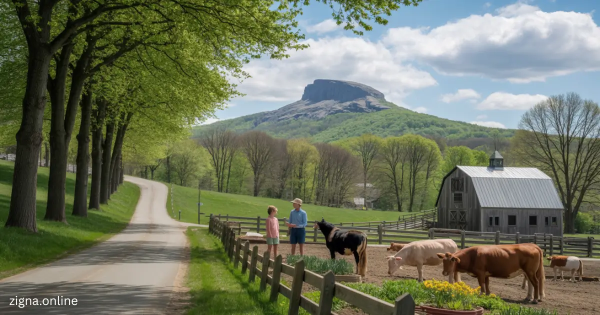 a man and child standing in a fenced in pen with cows and a barn