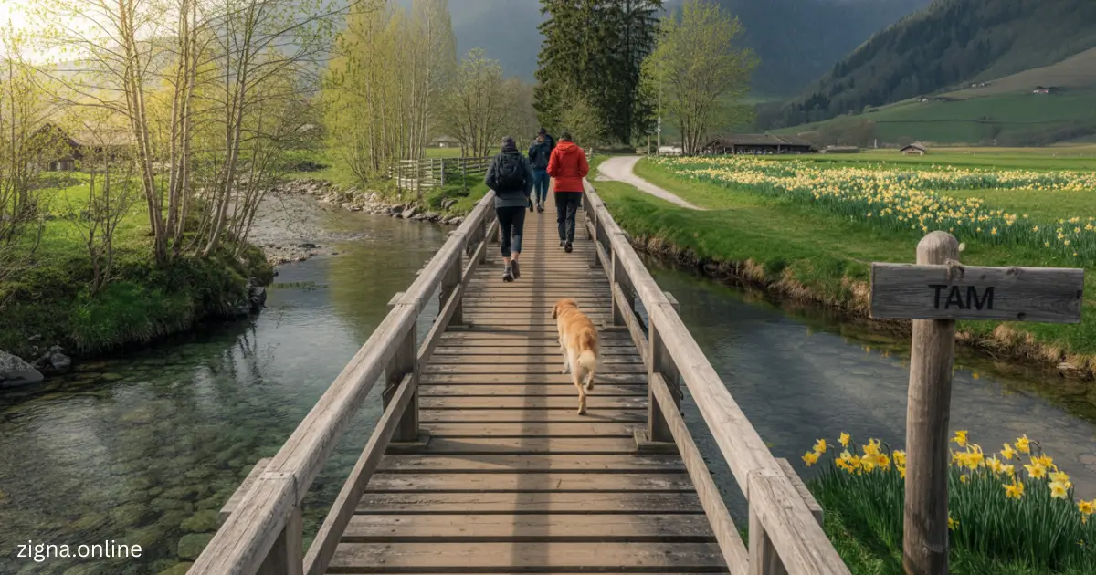 people walking on a bridge over a river